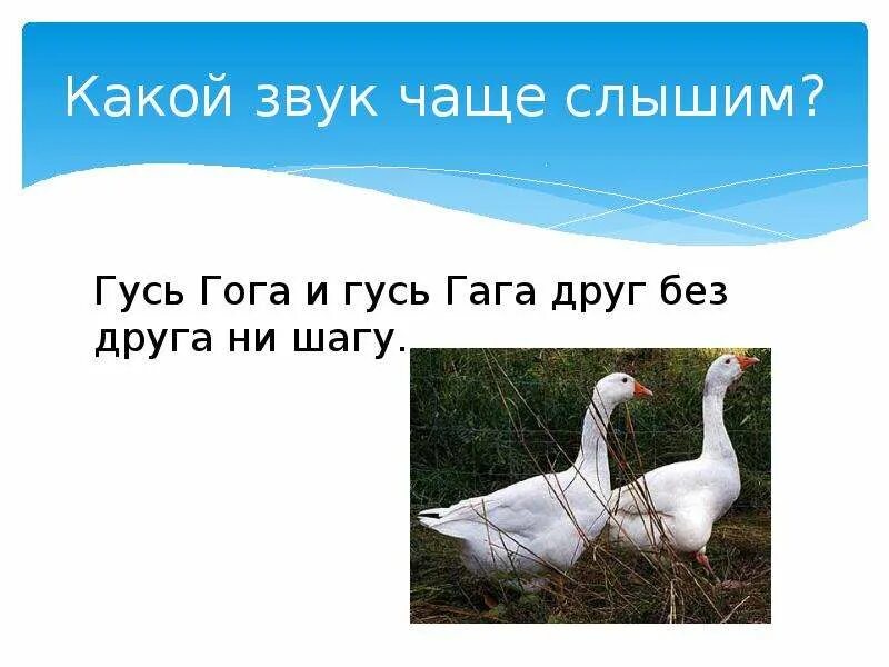 Гусь и гусенок составить предложение. Гусь га га. гуси гага. гусь гога и гусь гага друг без друга ни шага. звук гуся.