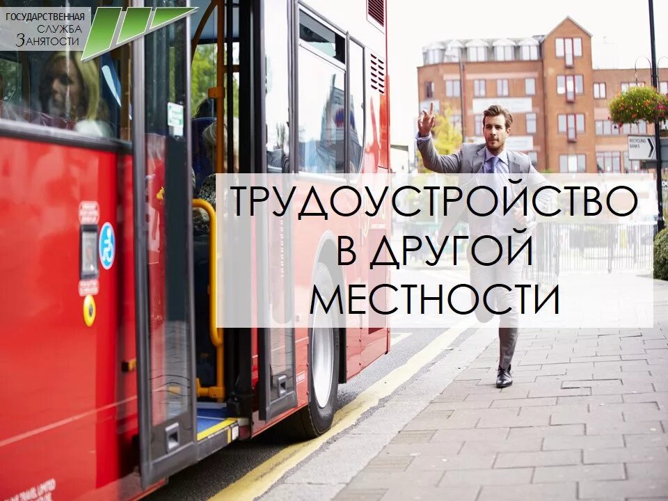 Мероприятия по содействию занятости населения. Переехал иллюстрация. Картинка трудоустройство безработных граждан. Переезд безработных граждан в другую местность. Программа переезд от центра занятости.