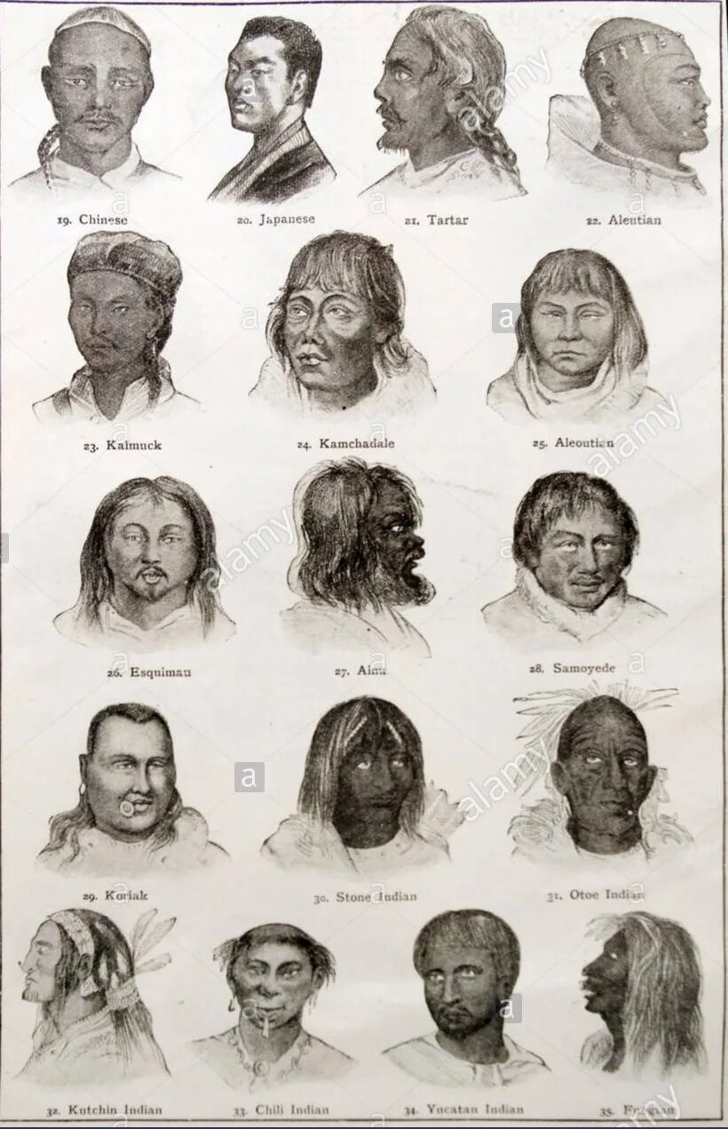 Types of Races. The Races of Mankind. Types of Human Races. Низшая раса. Human types