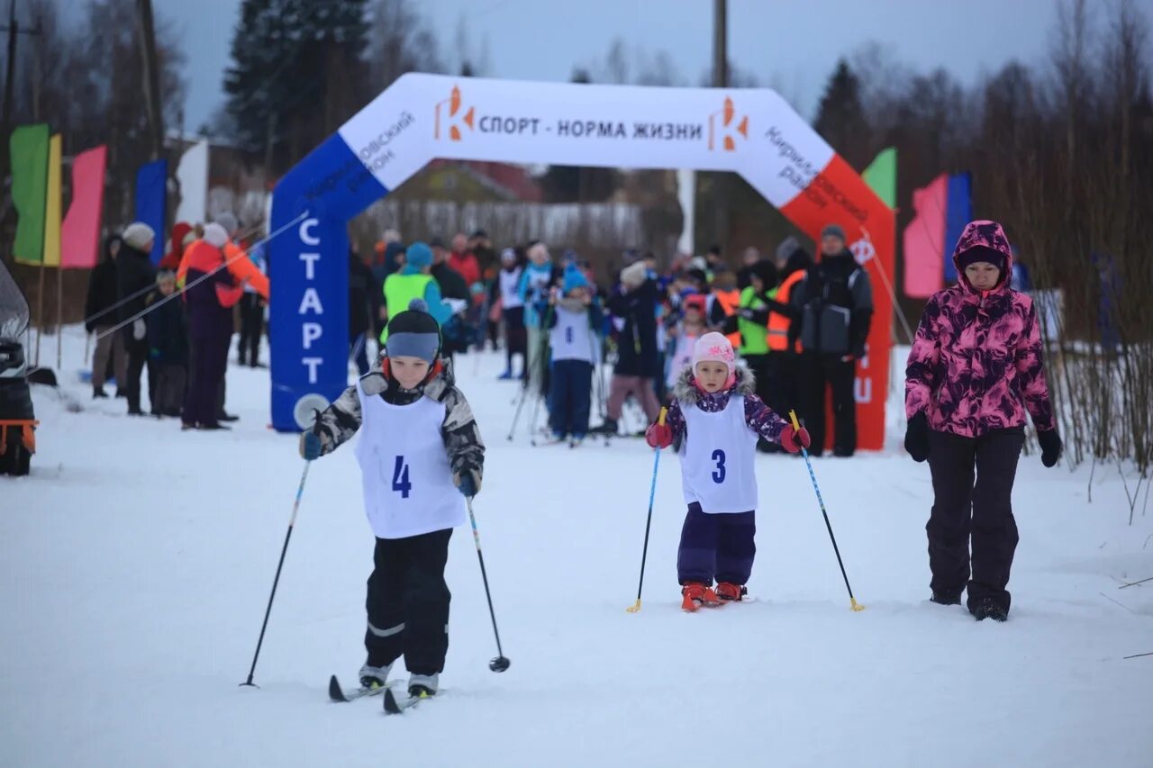 Лыжные соревнования. Лыжная трасса. Новый год лыжи. Лыжный новый год. Снега кириллова 2024 программа