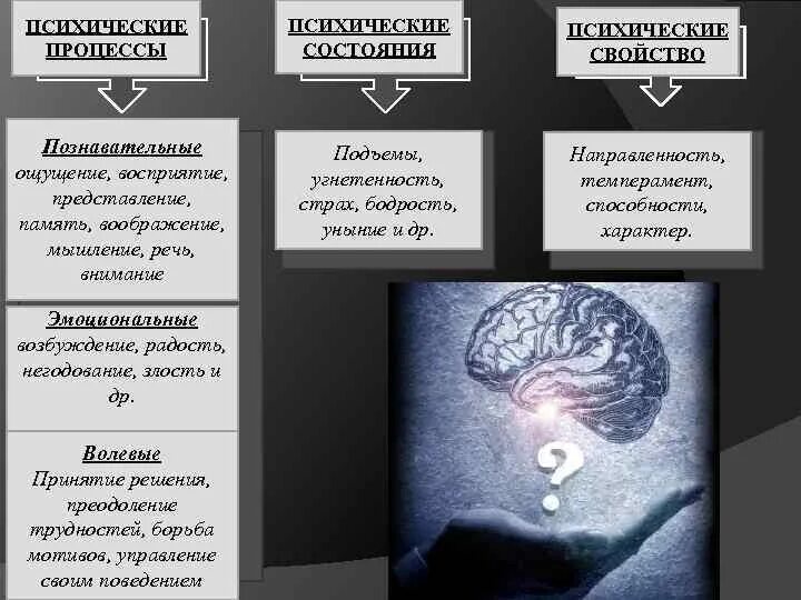 Память относится к психическим