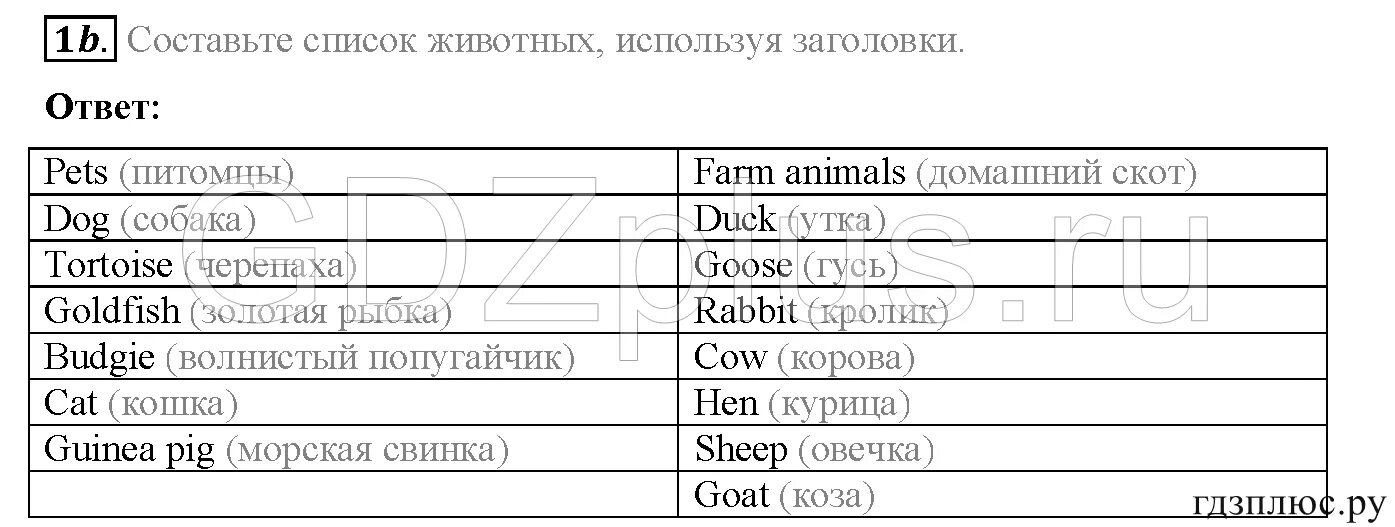 Английский 5 класс страница 96 упражнение 3. Pets задания по английскому 5 класс. Спотлайт 5 my Pet. Лексика 5 класс спотлайт my Pet. Английский язык 5 класс учебник my Pet.