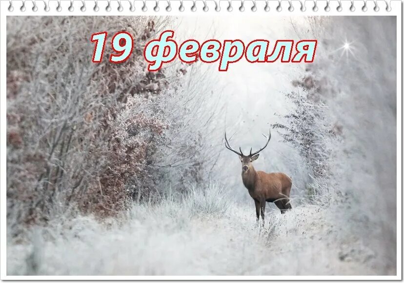 19 Февраля народный календарь. 19 Февраля приметы. 19 Февраля народный календарь картинки. Вукол Телятник народный календарь. Какие приметы 19 декабря