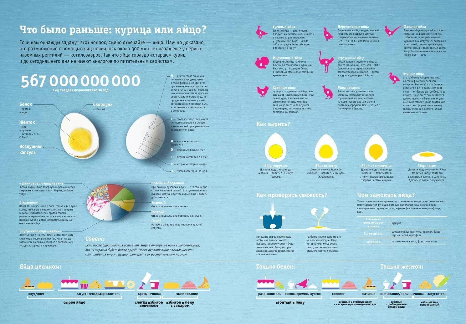 Килокалории куриного яйца. Инфографика яйцо. Варка яиц инфографика. Факты о вареных яйцах. Инфографика яйцо куриное.