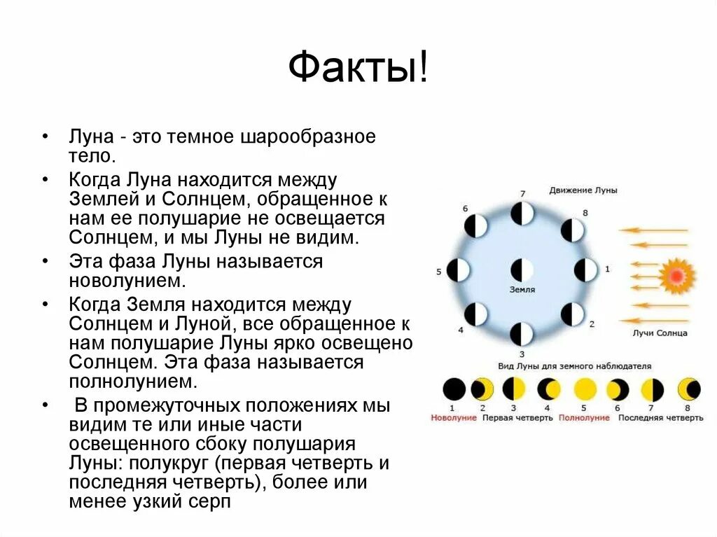 Таблица фазы Луны астрономия 11 класс. Схема смены фаз Луны. Движение и фазы Луны астрономия 11 класс. Движение и фазы Луны астрономия 10 класс. 8 апреля луна в какой фазе