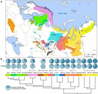 Урало самодийская языковая семья