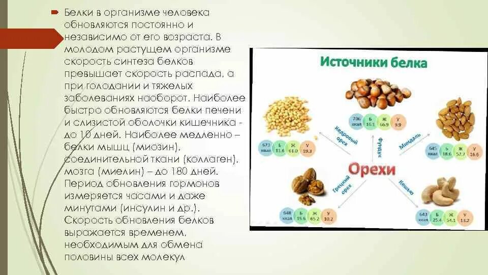 Когда детям можно белок. За что отвечает белок в организме. За что отвечают белки в организме человека. Количество белков в организме человека. Белок в питании человека.