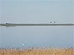Озеро карачи новосибирская область фото. Ландшафт курорта озеро карачи. Озеро карачинское станция жд. Станция озеро карачинское новосибирская область. Озеро-карачи (посёлок).