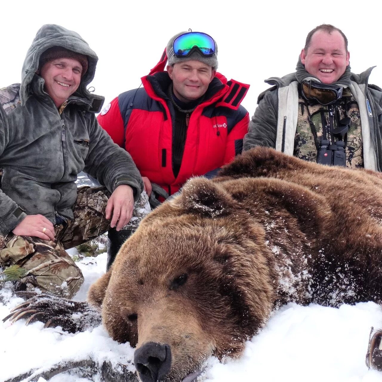 Где живет камчатский медведь. Самый большой медведь Кадьяк 1200 кг. Медведь людоед на Камчатке. Медведь людоед Ханты Мансийск.