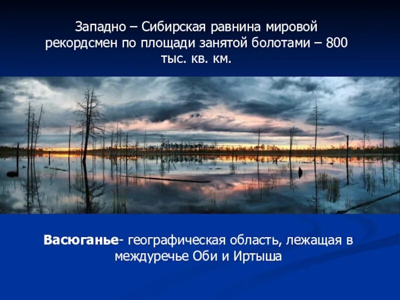 В западной сибири болота занимают территорию
