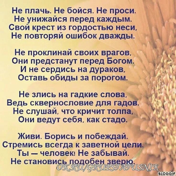 Стихотворение скажи мне сестра. Стихи. Хорошие стихи. Разные стихи. Хорошее стихотворение.