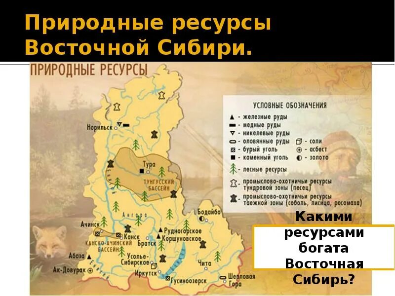 Сибирь особенности природно ресурсного потенциала 9 класс. Хозяйство Восточно Сибирского экономического района таблица. Западно Восточная Сибирь экономический район- таблица. Карта природных ресурсов Восточной Сибири. Ресурсы Западной Сибири экономического района.