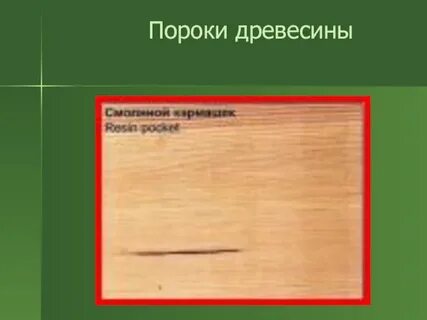 Какие пороки древесины распространены