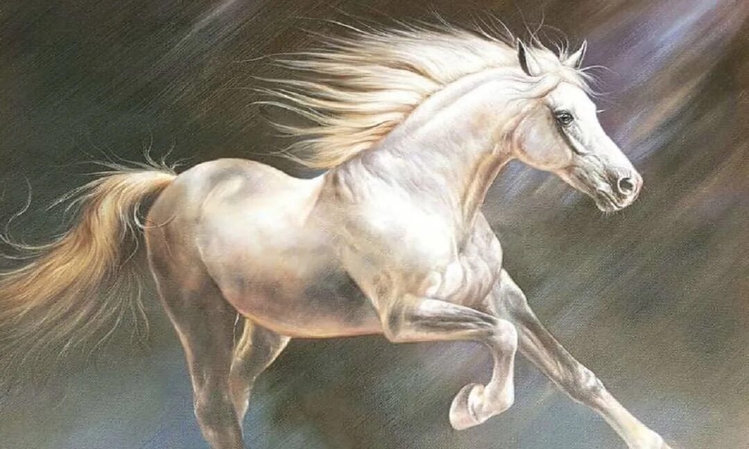 Белая лошадь фото. Сказочные лошади. Белая лошадь живопись. Белая лошадь. Небесные лошади.