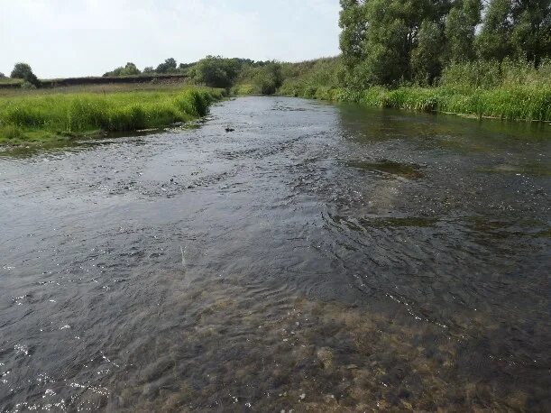 Кстати вода