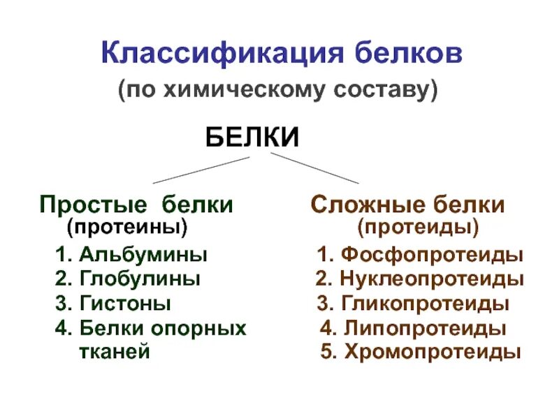 Каким соединением является белок. Классификация белков биохимия простые белки. Классификация белков сложные белки. Классификация белков протеины и протеиды. Классификация белков по составу протеины протеиды простые белки.