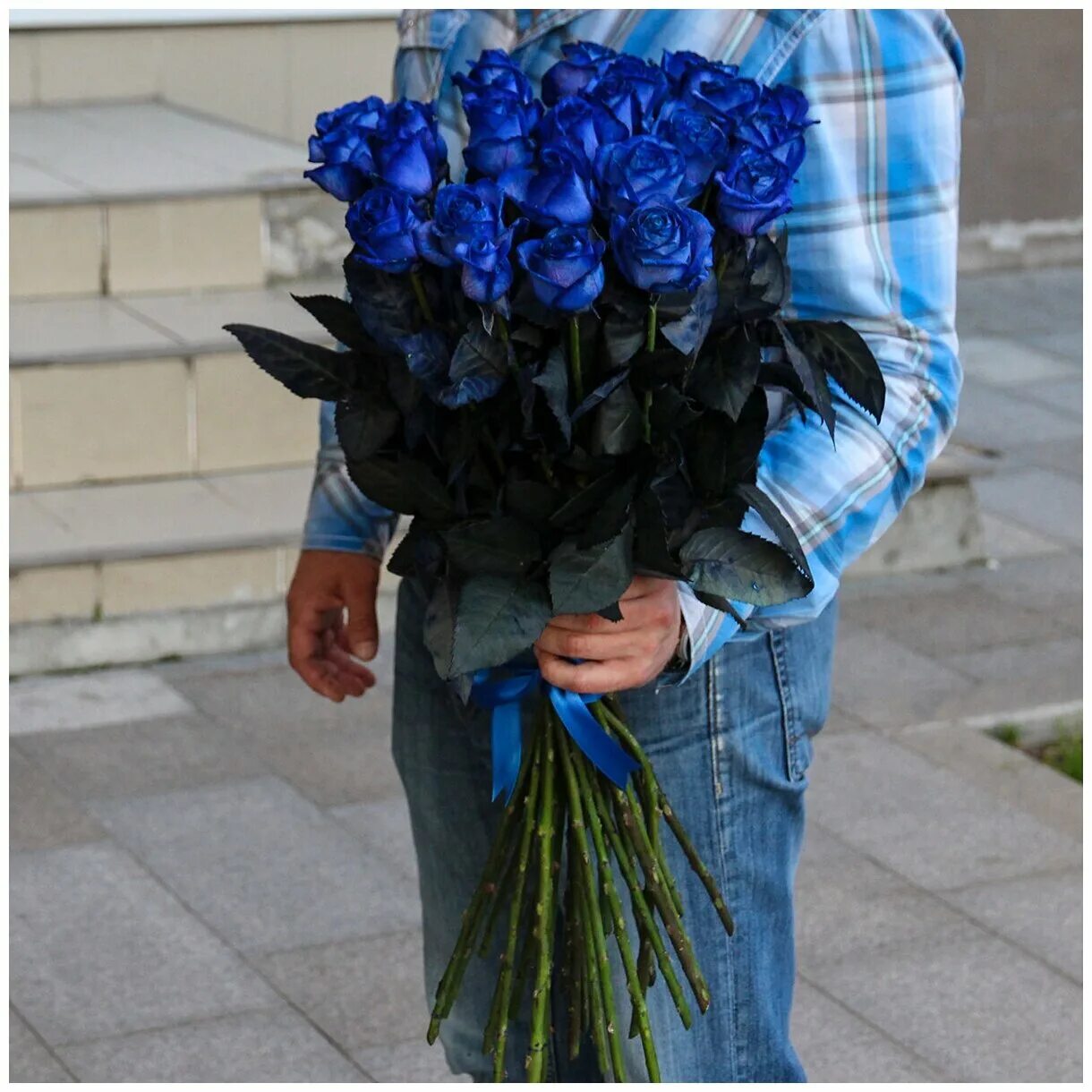 Синяя 25. 25 Синих роз. Синие розы в Усть Кане.