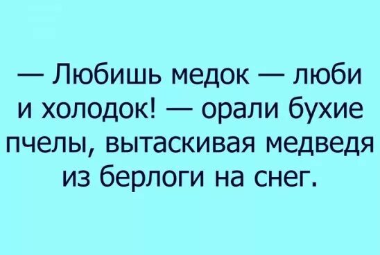 Любишь медок люби и холодок. Любишь медок люби. Любишь медок люби и холодок кричали пьяные пчёлы. Пословица любишь медок. Пословица любишь медок.