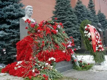Цветы сталину сегодня