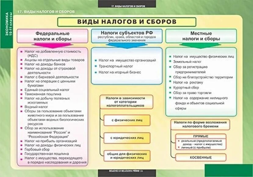 Виды налогов схема. Виды налогов таблица. Виды налогов и сборов таблица. Филы налогов и сборов.