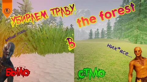 Forest настройки