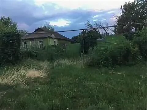 Авито скородное