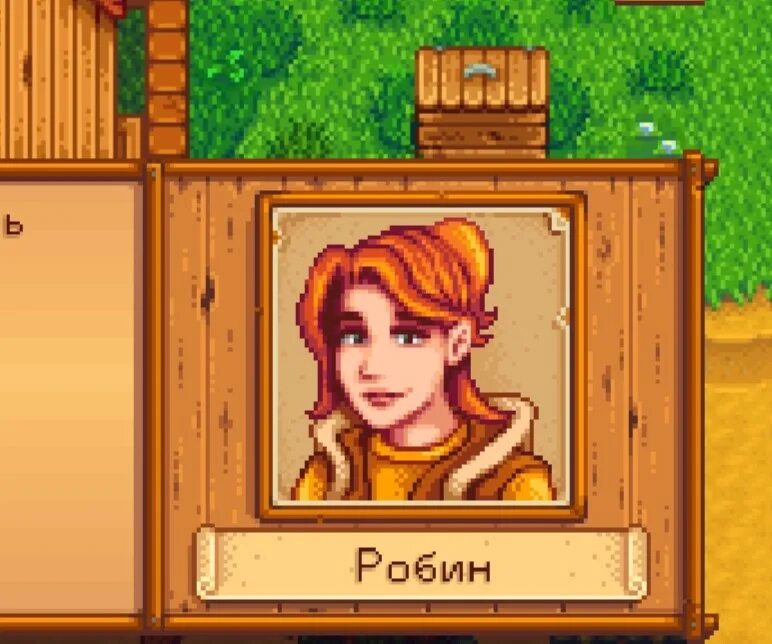 Утиное перо стардью. Робин из Stardew Valley. Робин Stardew Valley 18. Стардью Валли Робин.