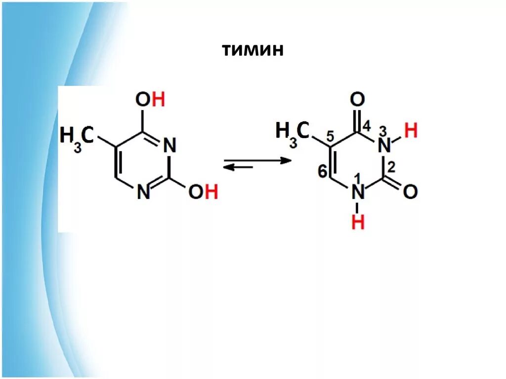 Тимин формула. Структурная формула Тимина. Тимин структура. Тимин структурная формула. Химические строение Тимин.