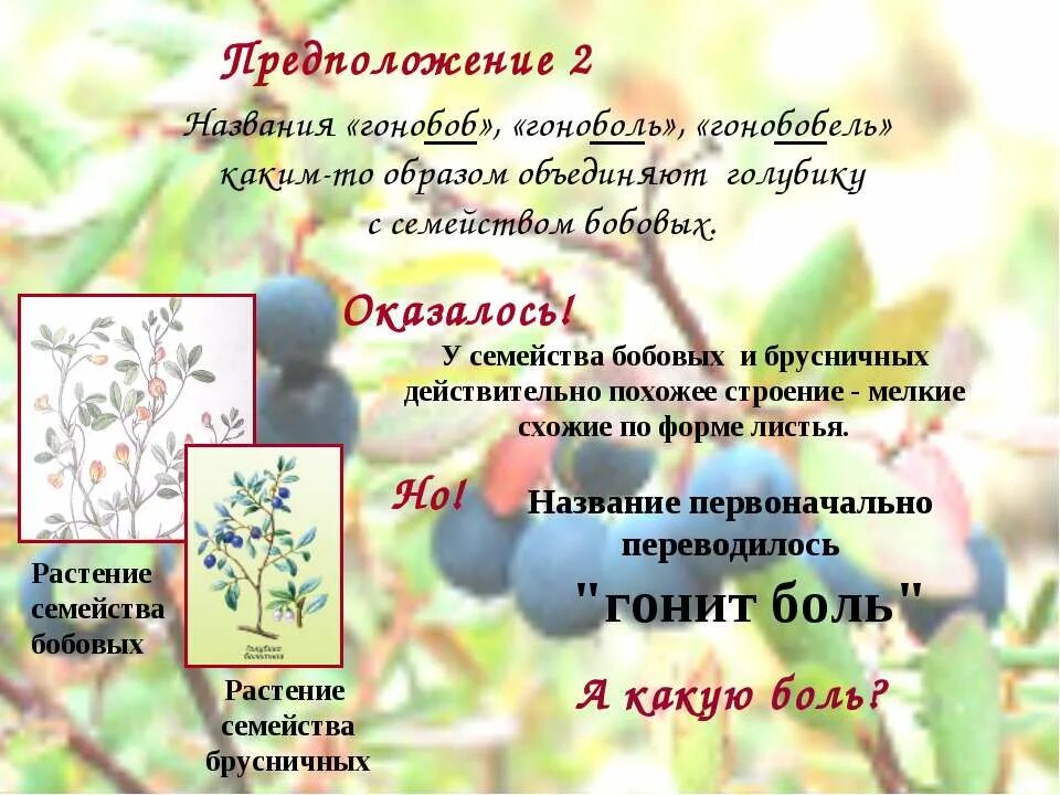 Предположение 2