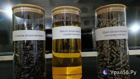 Астон бузулук