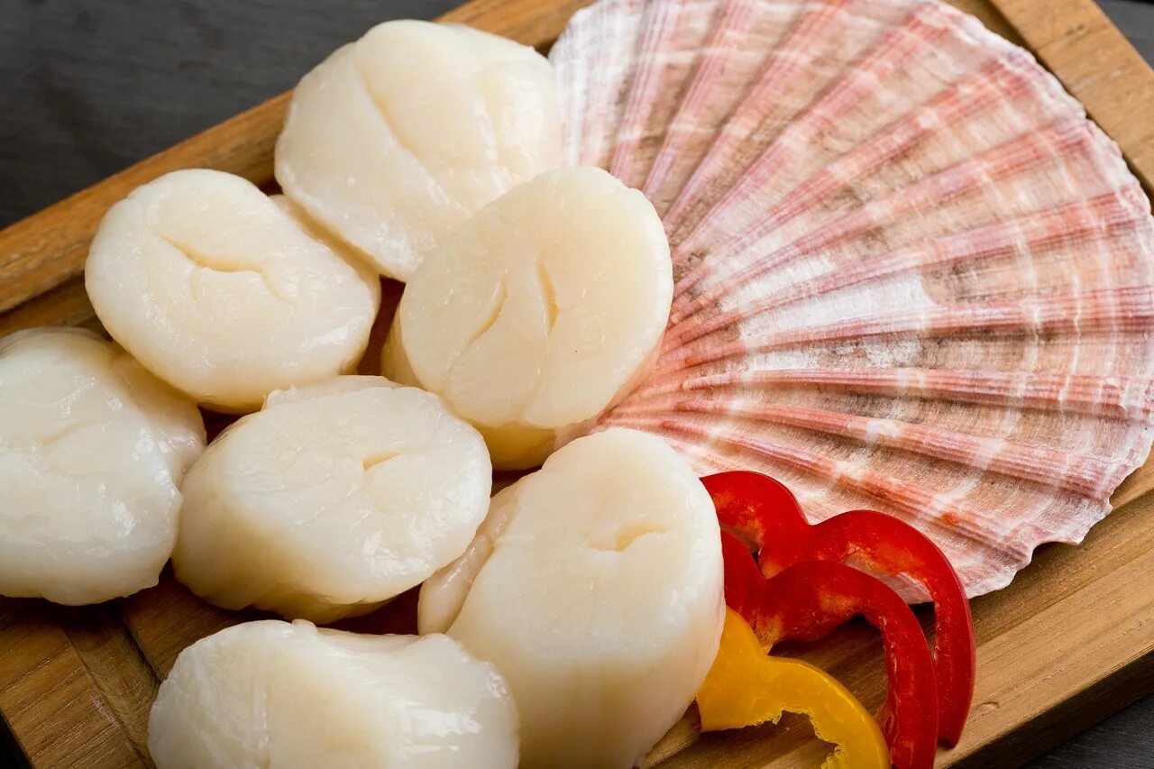 100. Как выглядит морской гребешок. Морской гребешок ракушка. Как выглядит морской гребешок. Гребешок моллюск дальневосточный.