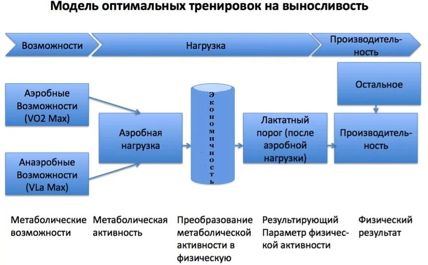 Метаболическая нагрузка. Патогенез гипертензии при сахарном диабете. Метаболический синдром гиперлипидемия. Метаболическая нагрузка. Патогенез метаболического синдрома.