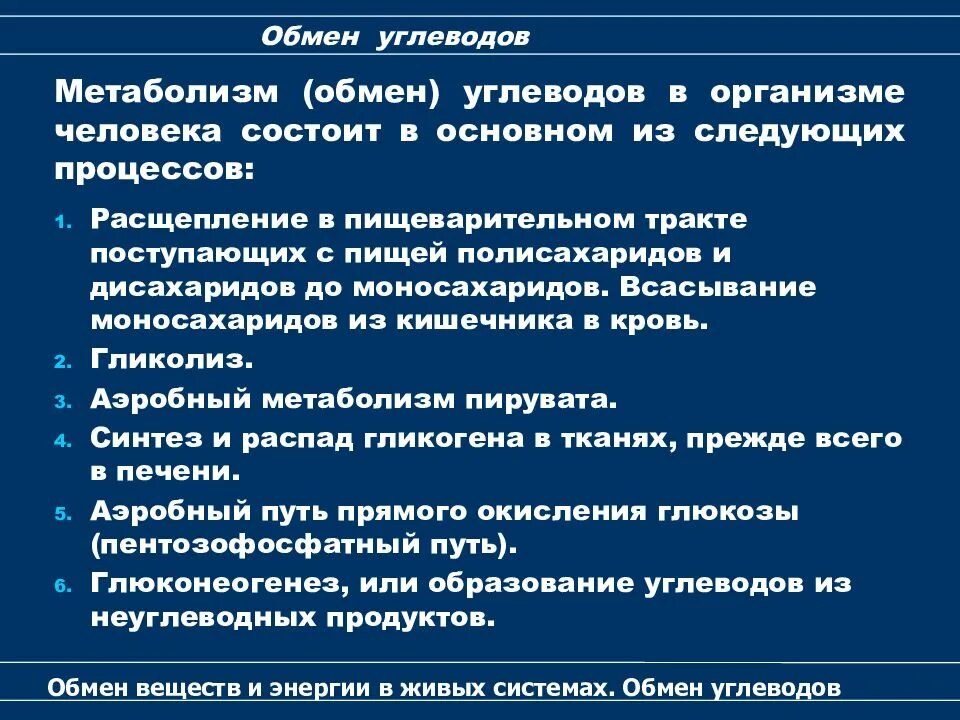 Обмен углеводов в организме. Углеводный обмен в организме человека кратко. углеводный обмен. как и чем регулируется в организме углеводный обмен.