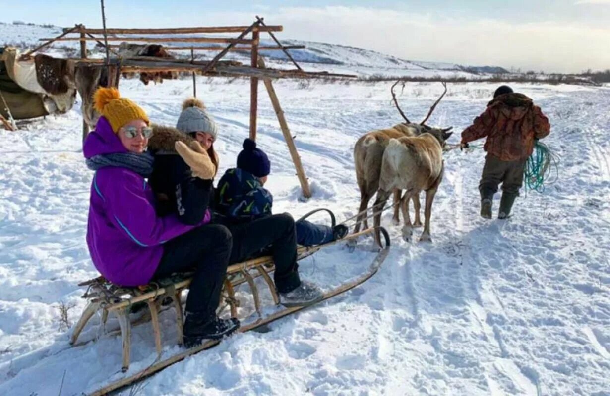 Магаданские олени. Эвенск Магаданская область. Поселок Северо Эвенск. Магадан поселок Северо-Эвенский. Северо-Эвенск олени.