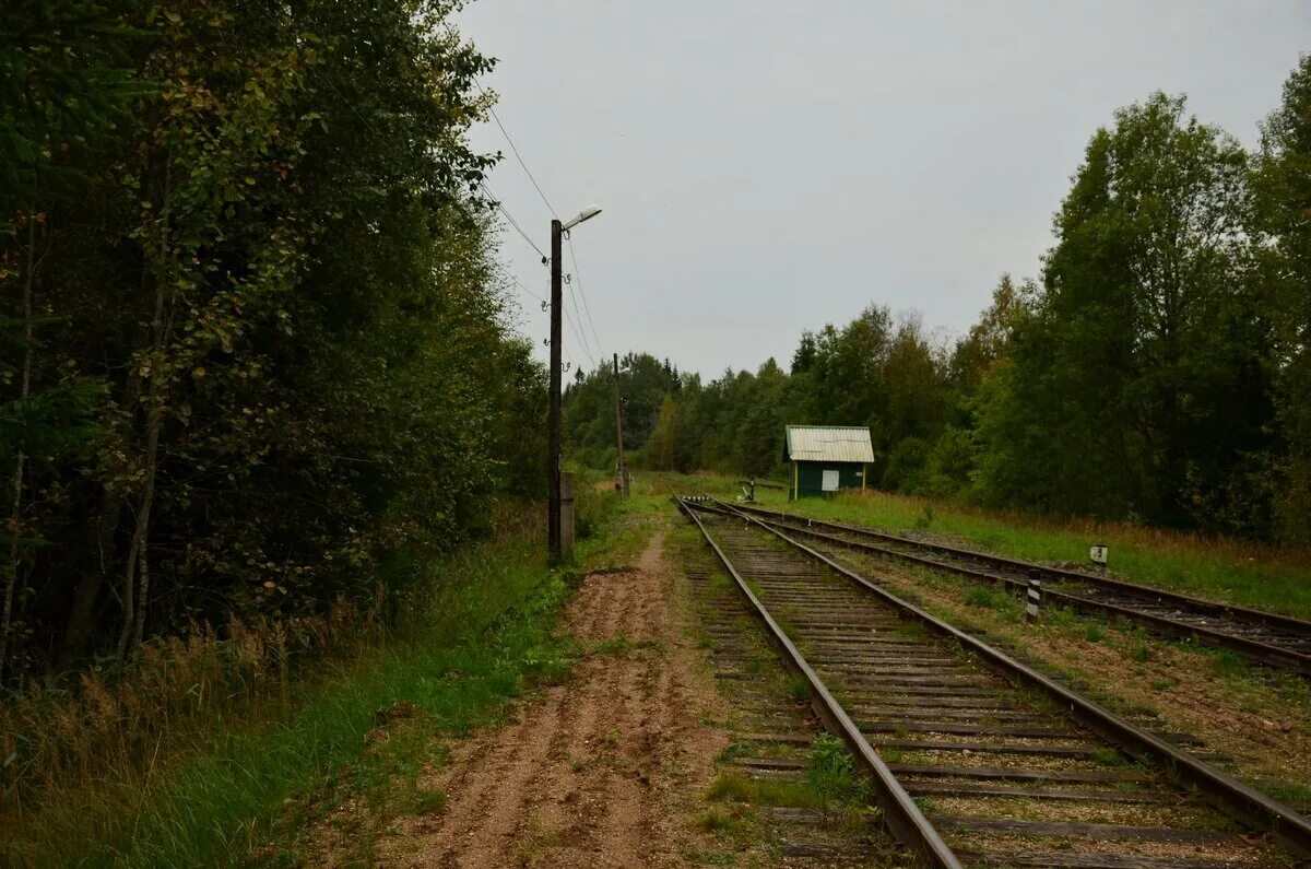 Погода тверской обл 10. Станция Селижарово Тверской области. Деревня Скакулино Селижаровский район. Селижарово посёлки городского типа Тверской области. Ранцево Тверская область.