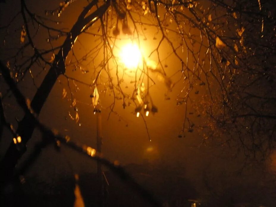 Осенняя ночь. Осень ночь. Дождливый осенний вечер. Дождливая осень ночь.