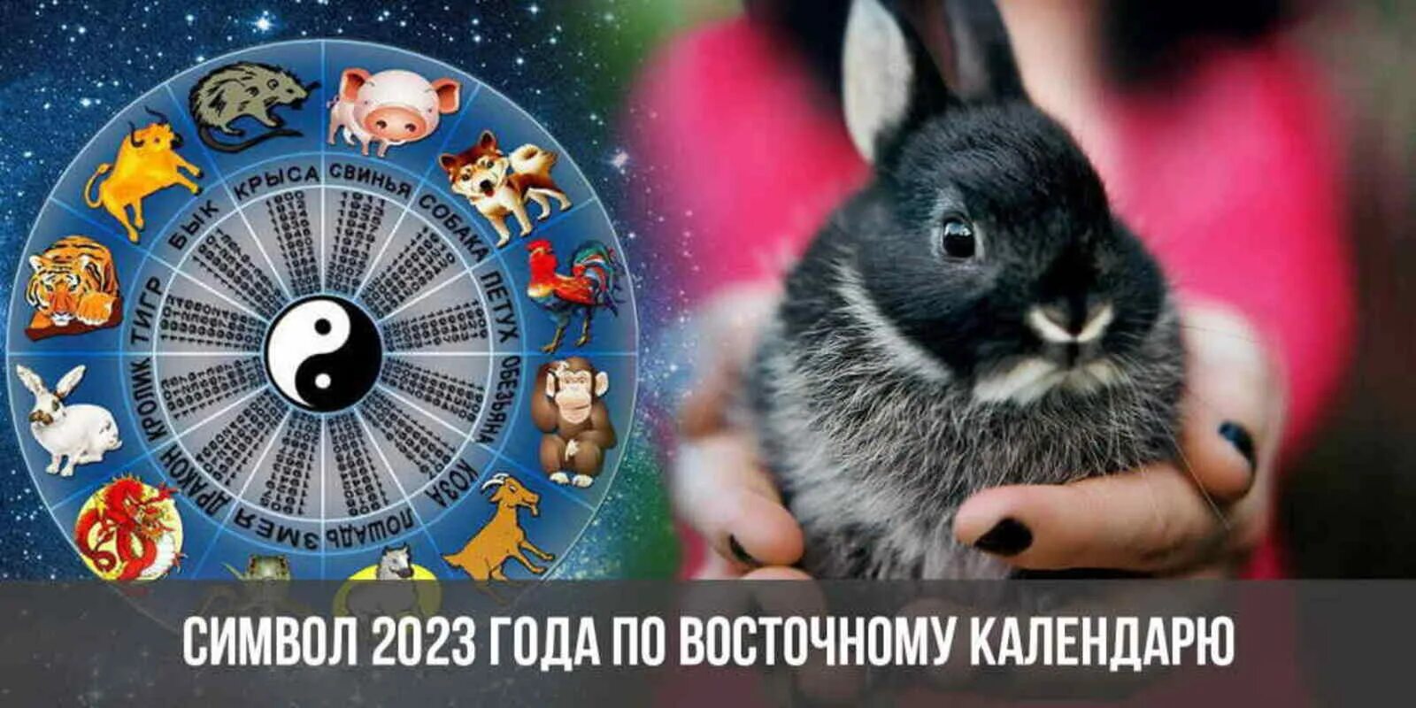 1 января 2023 год кого. С наступающим 2023 годом кролика. 2023 год год какого животного. 1 января 2023 год кого. 1 января 2023 год кого.