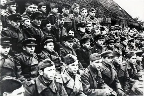 Стрелковые дивизии 1944 год
