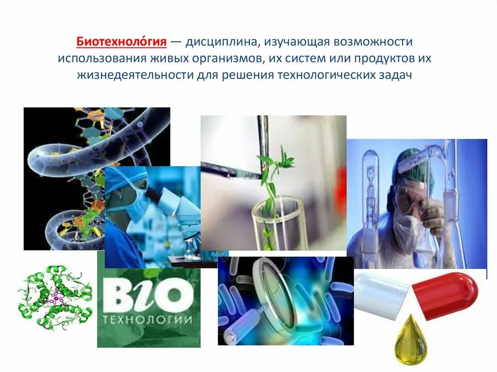 Основные развития биотехнологии. Биотехнология. Биотехнология презентация. Современные биотехнологии. Презентация на тему биотехнология.