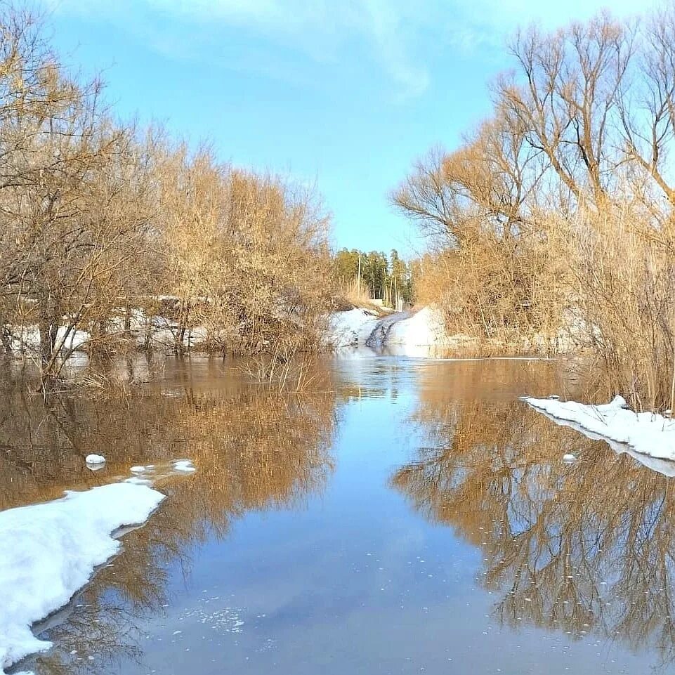 Домашкинское водохранилище бузулукский район. Чекалинское водохранилище. Чекалинское водохранилище Грачевский. Спуск воды Бузулук. Уровень воды в реке Самара в Бузулуке на сегодня.