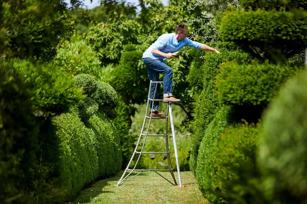 Build a garden. Man with garden technic. website for gardening business.