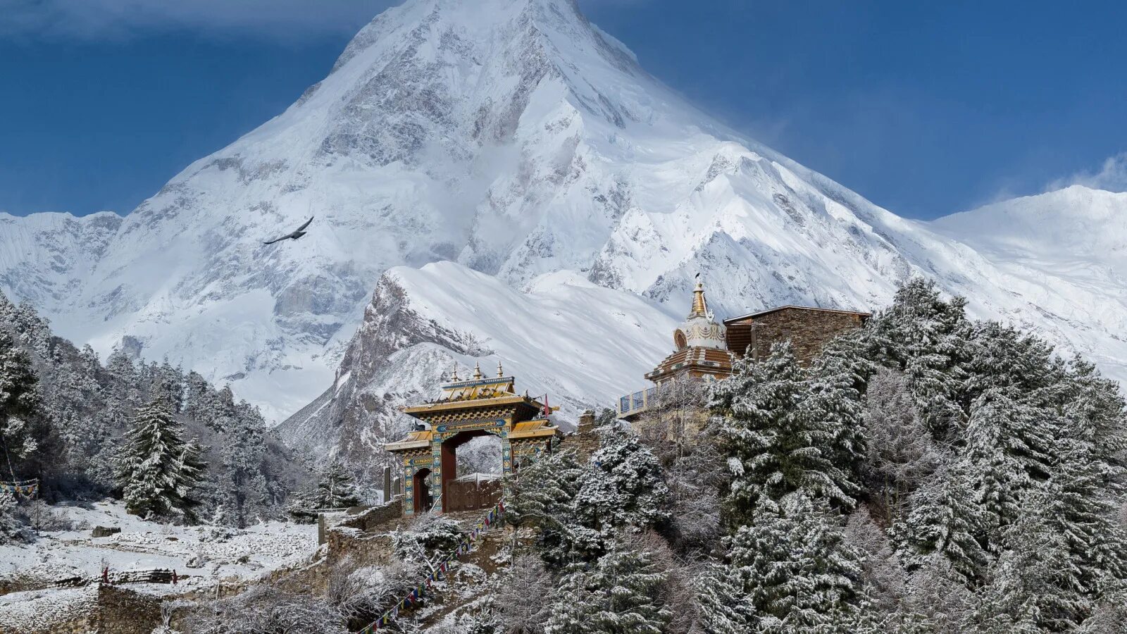 Ступы потала. Тибетцы народ. Тибетцы народ. Лхаса тибет горы. Дворец потала тибет.