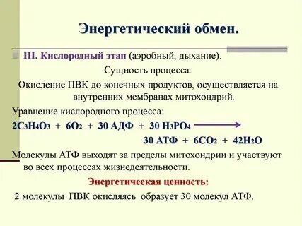 Этапы энергетического обмена происходящие процессы