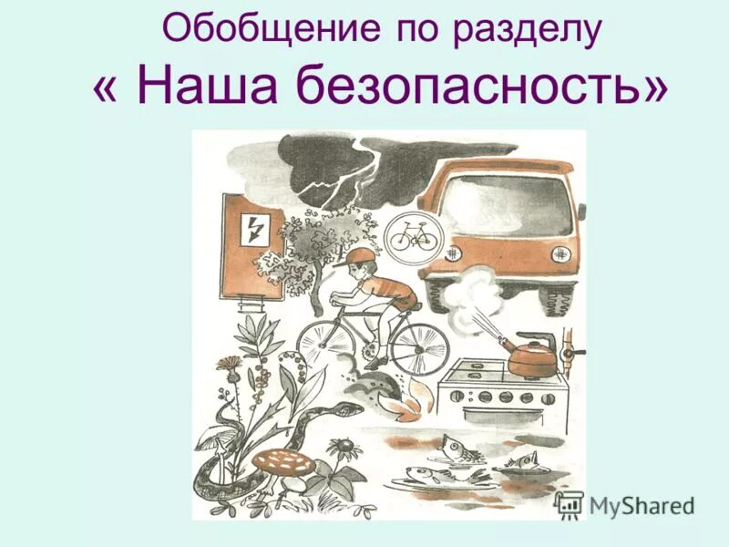 Животные и наша безопасность 3 класс