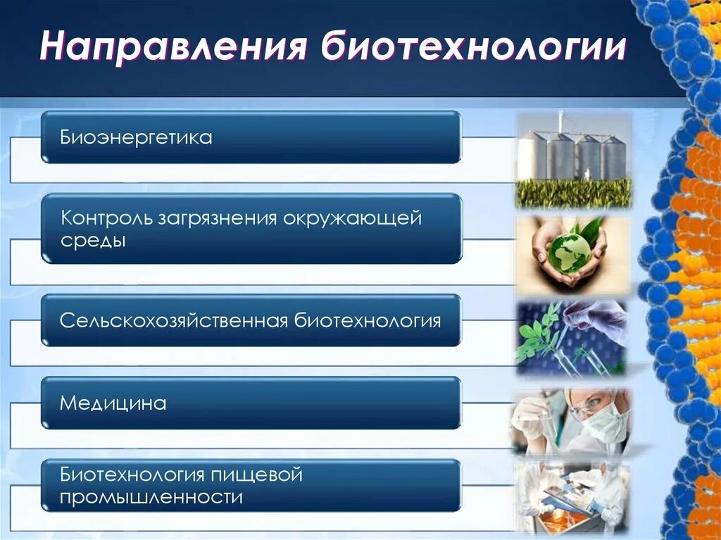 Биотехнология является. Биотехнология и ее направления. Основные направления биотехнологии. Биотехнология презентация. Основные направления современной биотехнологии.