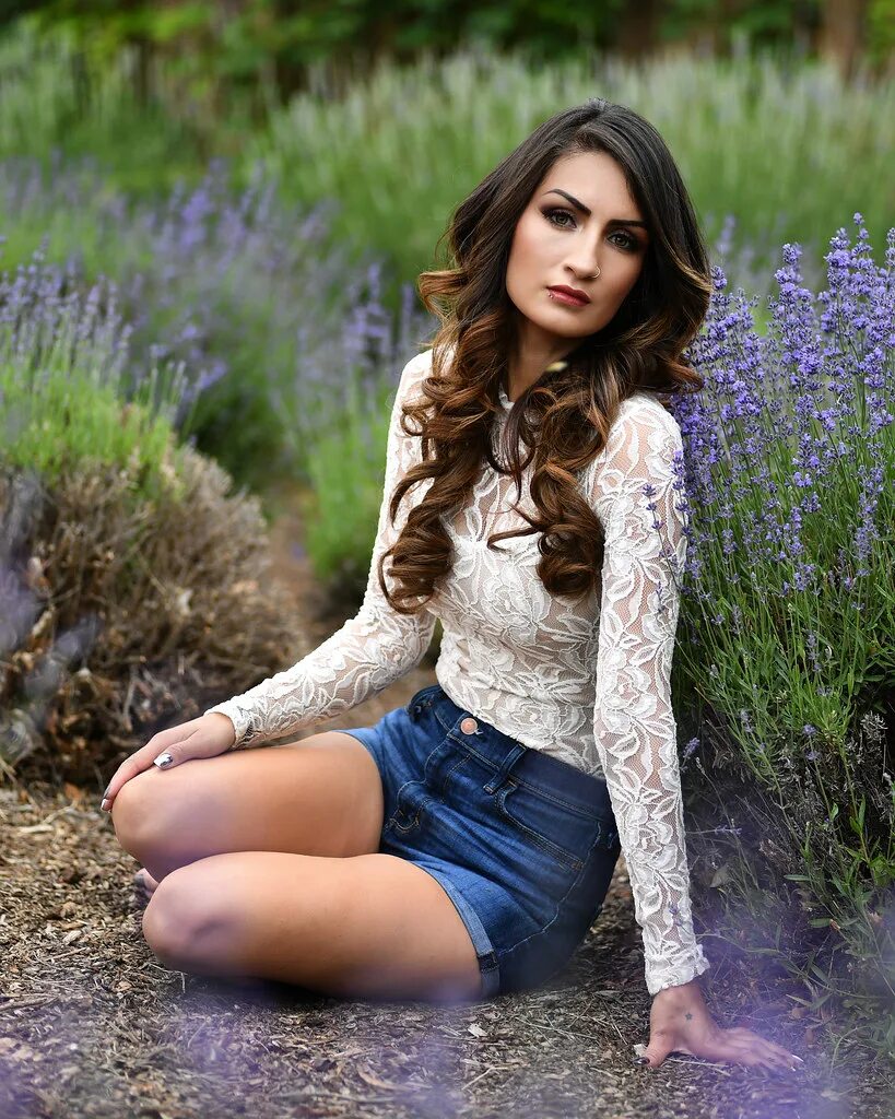 Stella marisol. Stella marisol