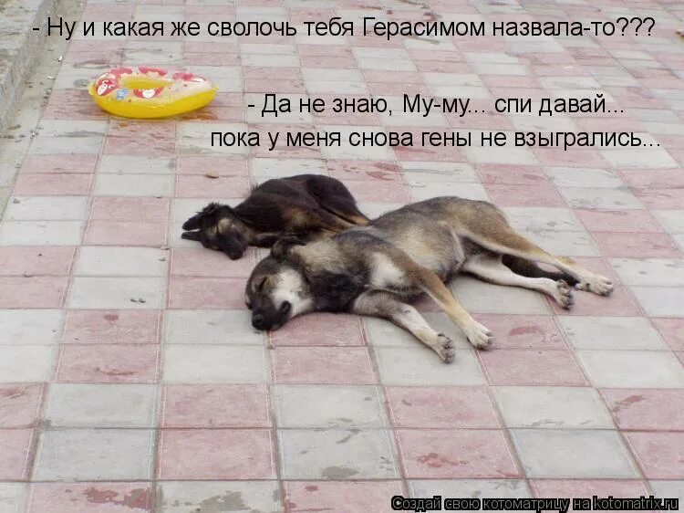 ну и сволочь же ты читать. сволочи надпись. меня аж трясет. сволочь. сволочь.