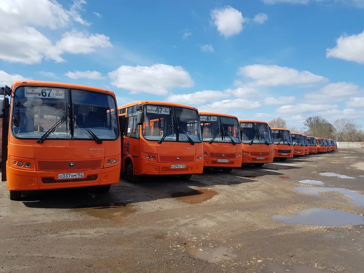 Общественный транспорт нижегородской области. Автобусы Нижегородский Минтранс. Т67 Нижний Новгород. 67 Автобус Нижний Новгород. Минтранс Нижний Новгород.