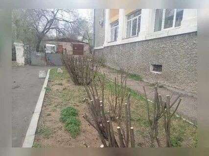 Юра решил срезать путь через дворы