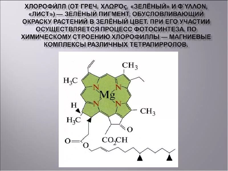 Строение пигментов. Химическое строение хлорофилла. Пигмент хлорофилл. Хлорофилл- макроциклический комплекс. Хлорофилл зеленый пигмент.